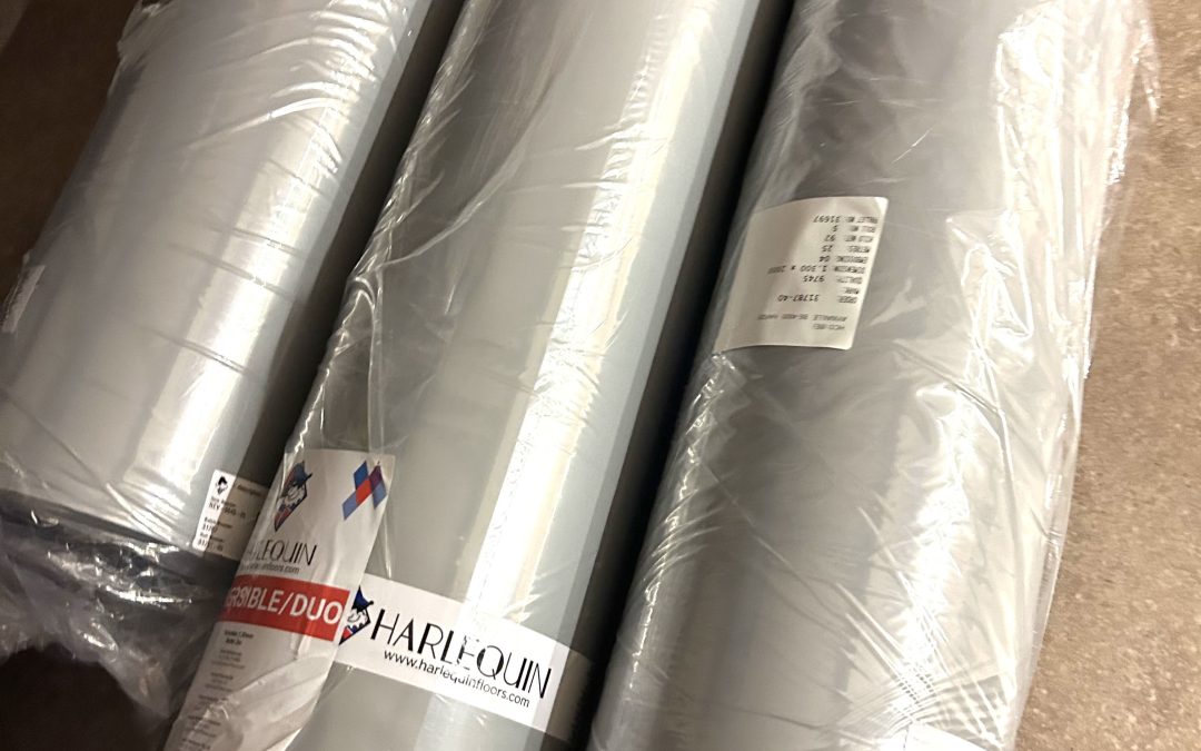 Atkeliavo profesionali šokio danga „HARLEQUIN”